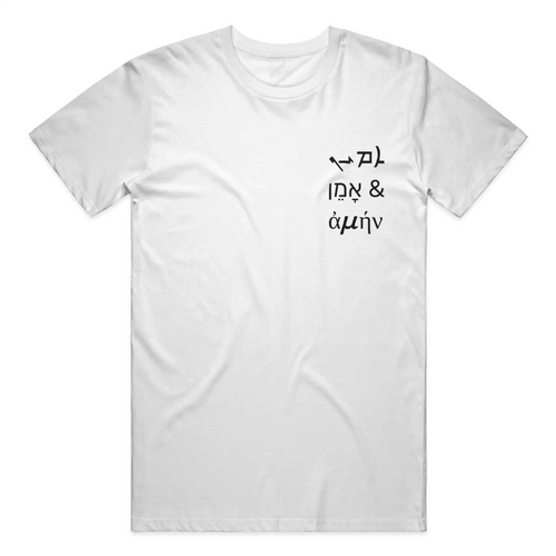 Mens Heavyweight T Shirt